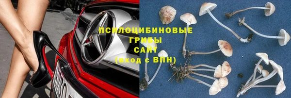 СК Алзамай
