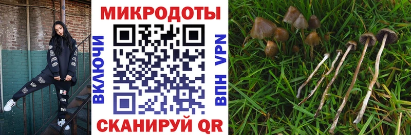 где можно купить наркотик  Анапа  Галлюциногенные грибы MAGIC MUSHROOMS 